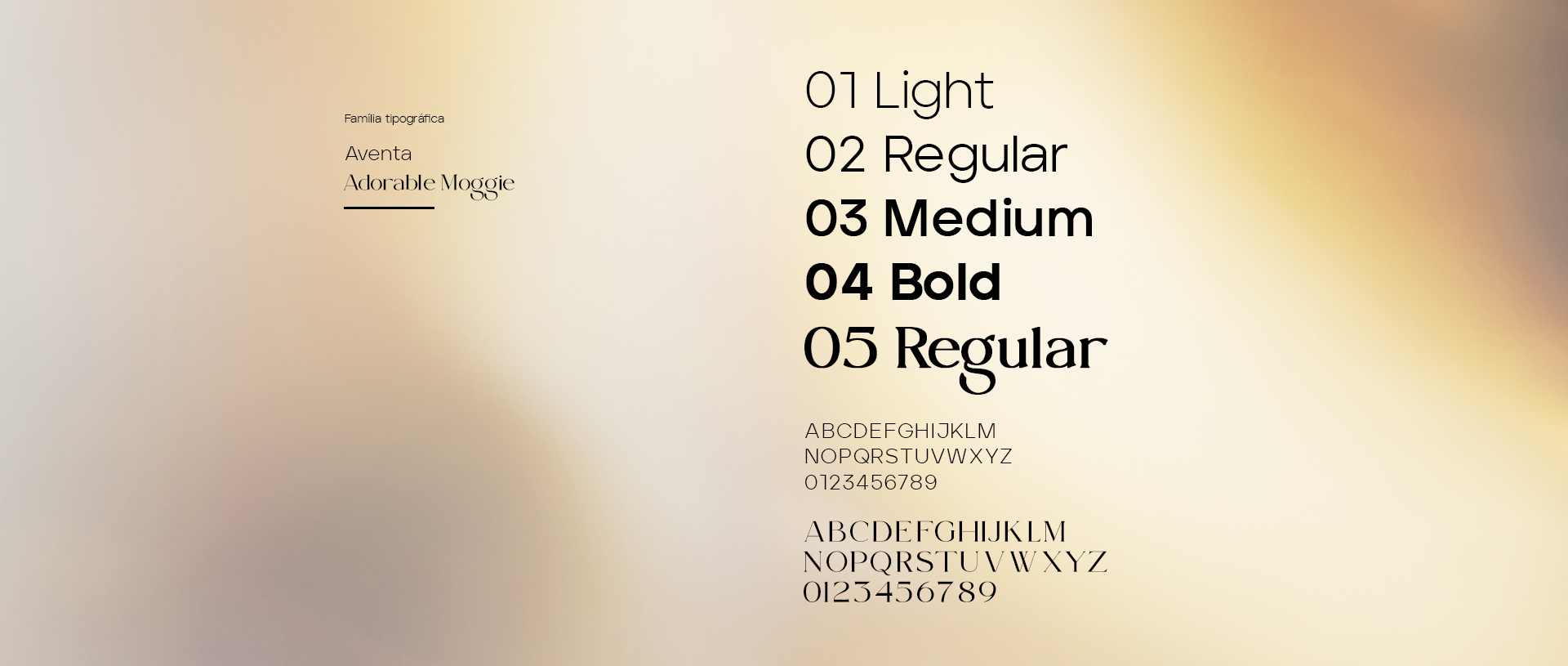 Imagem - 300 Comunicação