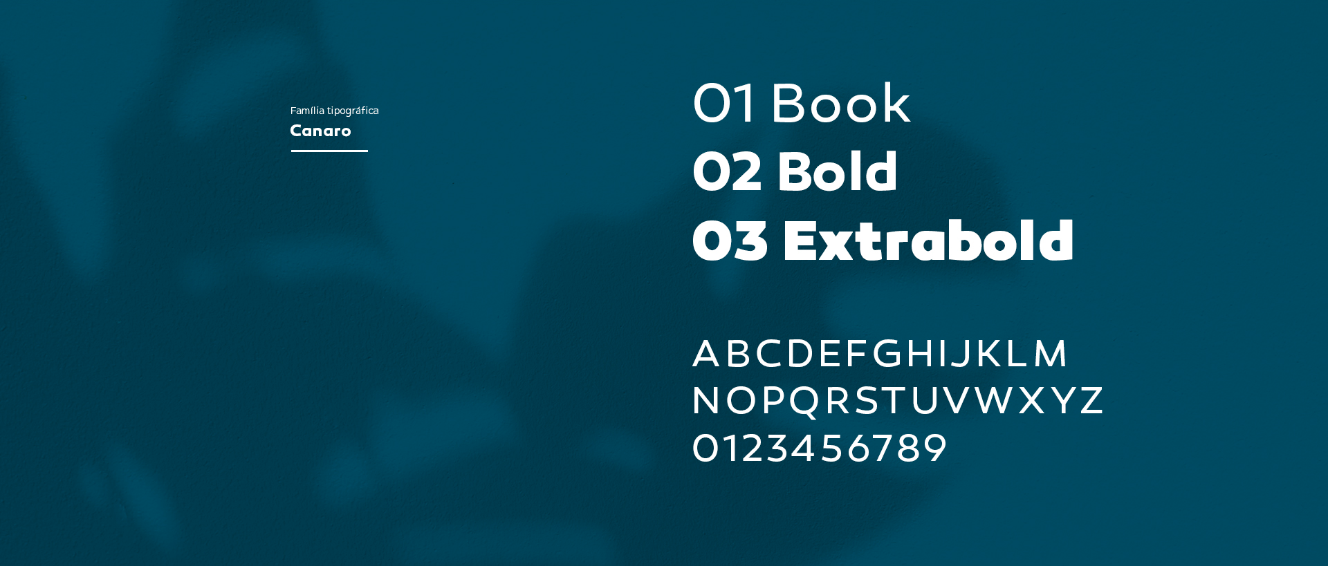 Imagem - 300 Comunicação